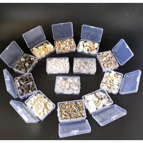 Mix Style Natural Shell 1-3cm 1 BOX Natural Conch Shells Mini Conch Corn Screw Wall Decoration DIY Aquarium Landscape Sea star