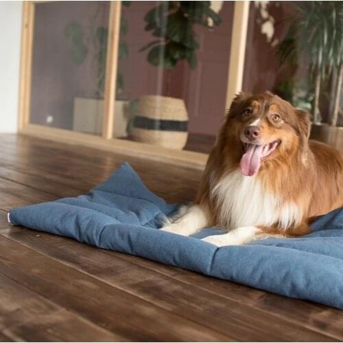 Olin dog’s Dog Beds