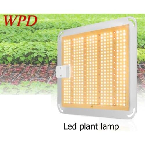 WPD LED Grow Lights Plant Growth Lamp Quantum Board 400W Waterproof IP66 Full Spectrum For Succulent Greenhouse Plant