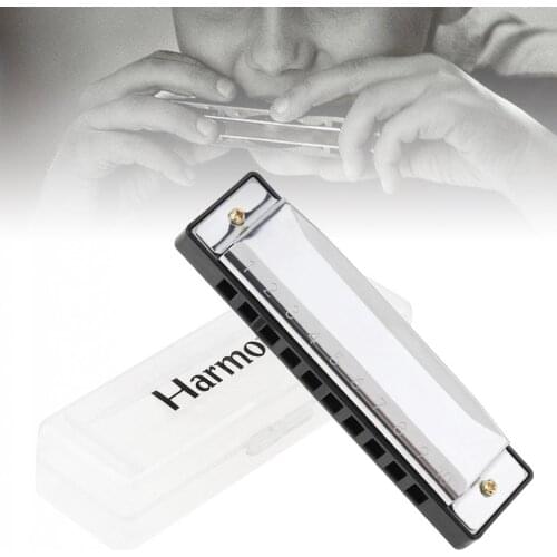 10 Holes Blues Harmonica Musical Instrument Stainless Steel Mouth Organ Children Musical Instrument Educational with Case