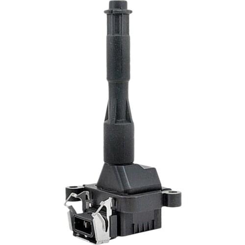 For Bmw E46 Ignition Coil 0221504004 1703227