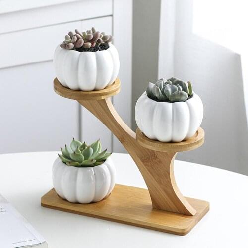 Simple White Succulent Plant Flower Pot Holder Ceramic Owl Pumpkin Pattern Pot Treetop Shaped Bamboo Shelf Pot Planter Set