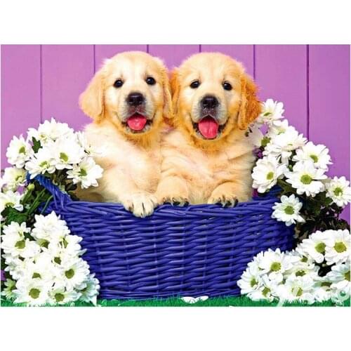 Two Puppies Round Diamond Painters Decorate Walls With Diamond Paintings, Home / Hotel / Office Decorations And Gifts