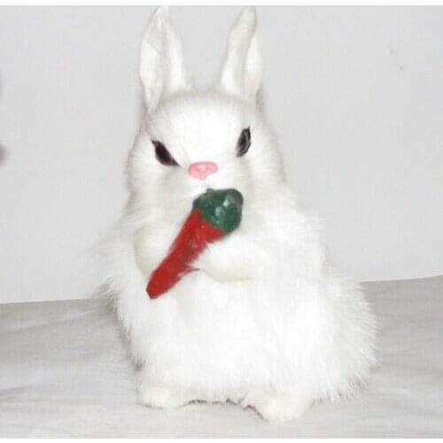 Favoring.cn Pet Supplies