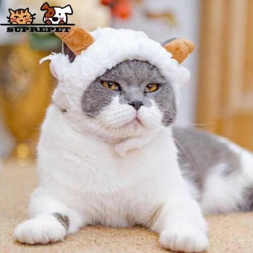 SUPREPET Clothes For Cats