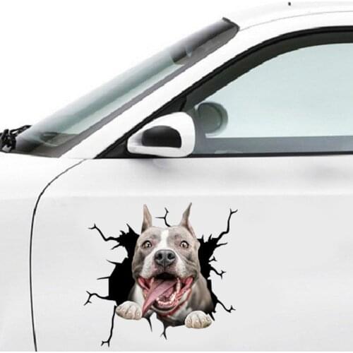 Car Sticker Funny Dog in the Crack Vinyl Car Stickers Decals Motorcycle Accessories Car-Window Decorative Goods PVC Decorative
