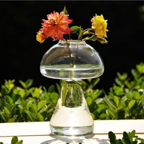 Free Shipping 2pcs/pack 10*15cm Big Size Mushroom Shaped Glass Terrarium Home Decoration Table Style Hydroponic Vase