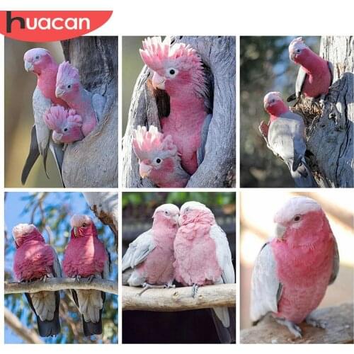 HUACAN Full Square Diamond Painting Kit Bird Mosaic Parrot DIY 5D Diamond Embroidery Animal Handicraft Home Decor Gift