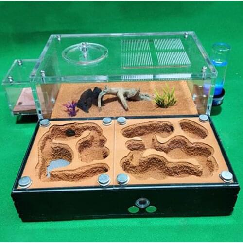 Concrete Ant Farm House Super Large Yellow Mud Ant Nest Gypsum Pet Anthill Insect Castle M Workshop Ant House with Hunting Area