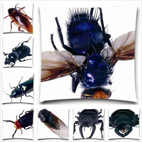 Natural Animals Cockroach/beetle Square Pillow Case Cotton polyester bedroom/chair/car/sofa seat 16 18 20 inches 9 style