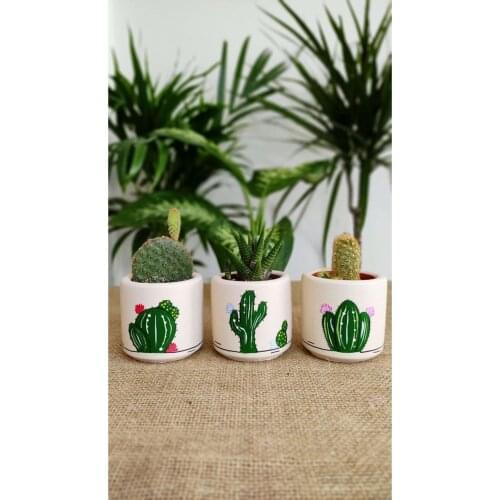 Green Beige Concrete Pot Set