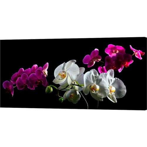 Black purple white orchid flowers Large Diy Diamond Painting Full Square Round Drill 5d Diamond Embroidery Wall Decoration I72
