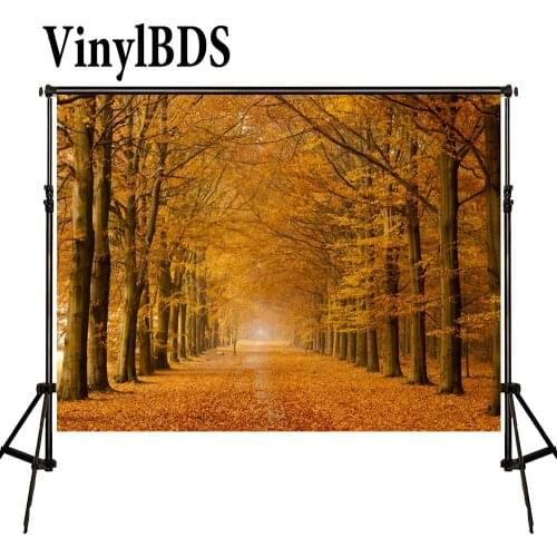 VinylBDS Autumn Forest Scenery Photography Background Children Fallen Leaves Photo Studio Backdrop Country Road Tree Backdrop