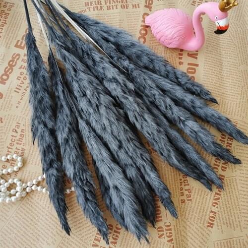 15Pcs Natural Pampas Grass Dried Reed Flower Arrangement For Party Wedding Home Decoration Ceremony Phragmites Fotografia