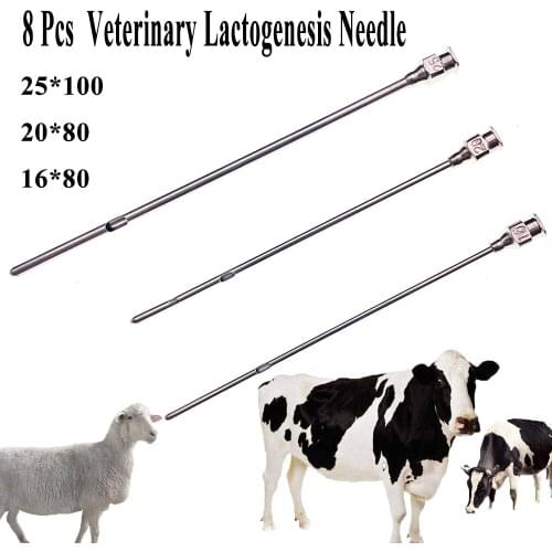 Goat Ewe Cow Veterinary Lactogenesis Needle Pin Stainless Steel Breast Dredging Drenching Ranch Medical Clinic Tools Supplies