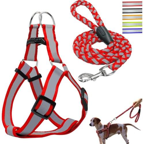 Step-in Reflective Nylon Dog Harness Vest No Pull Adjustable Pet Puppy Walking Training Harness Leash Set For Small Medium Dog