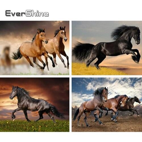 Evershine Diamond Painting Horse Full Square Drill Animals Mosaic Beads Embroidery Painting Rhinestone Picture Home Decoration