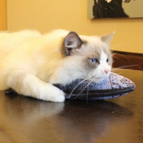 1PC Cat Favor Fish Toy Cat Mint Fish Stuffed Fish Shape Sisal Hemp Cat Scratch Board Scratching Post for Pet Products Supplie