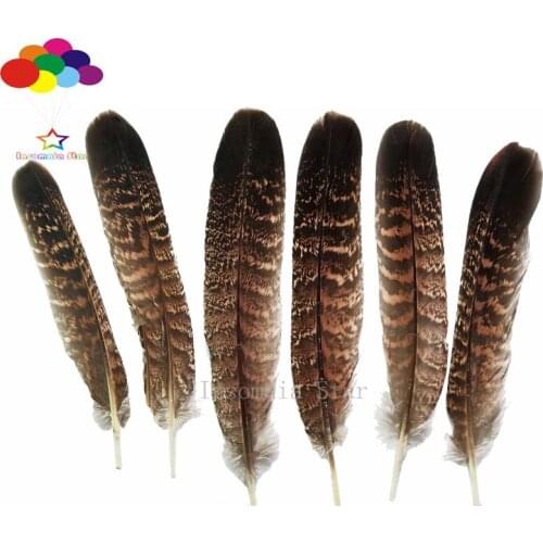 Natural Skinny pheasant tail feathers 6-8 inch / 15-20 cm 10-100 Pcs for carnival feather Diy costume headress home crafts