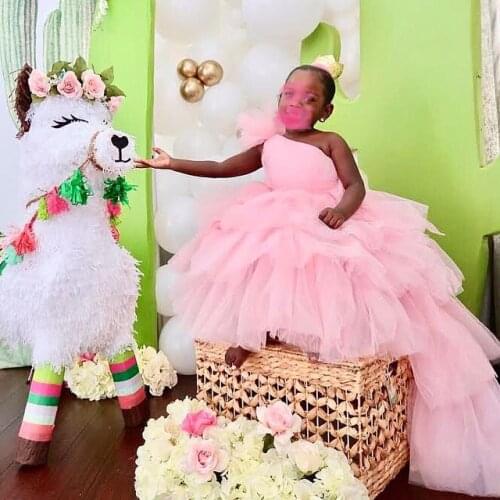 Princess puffy princess flower girl dress pink toddler girls birthday party dress pink girls celebration gowns custom