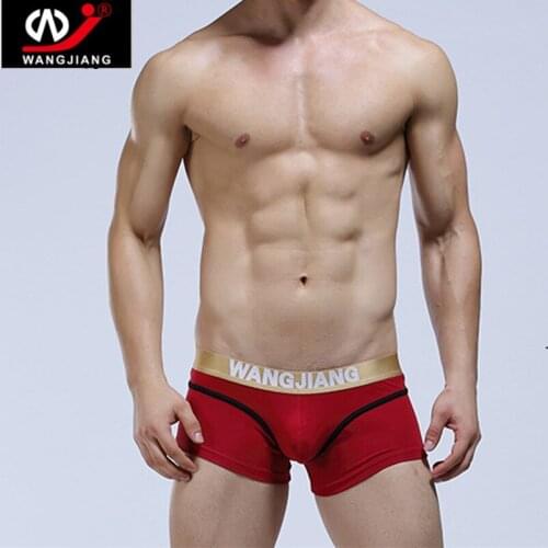 New Brand Pouch Mens Boxer shorts Comfortable Mens Underwear Sexy Boxers 2pcs/lot Male Underwear cueca