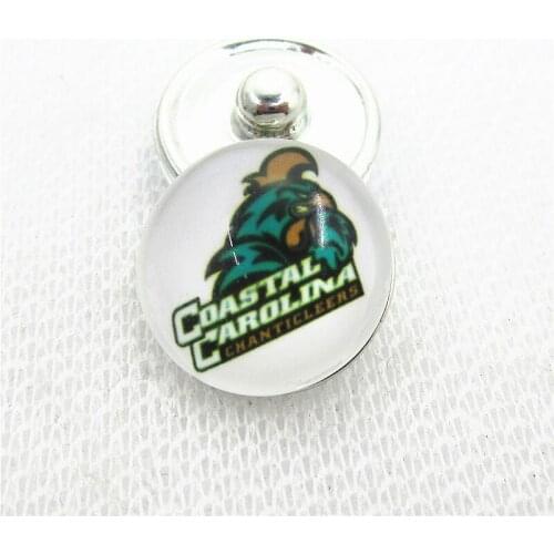 10pcs/lot US Coastal Carolina Chanticlee Snap Buttons Charms DIY 18mm Sports buttons Snaps Jewelry Bracelets&bangles Necklace