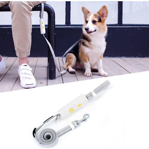 Leashes for Small Medium Dogs 6 ft Elasticity Rope Dog Leash , Breathable Braid Collar, Non-Slip Handle, Explosion-Proof