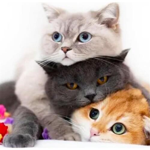 Animal Cat DIY Embroidery Cross Stitch 11CT Kits Needlework Craft Set Printed Canvas Cotton Thread Home Decoration Hot Room