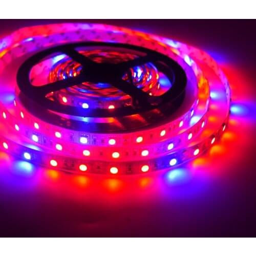 5M Phyto Lamps Full Spectrum LED Strip Light DC12V 60LEDs/m 5050 Chip LED Fitolampy Grow Lights For Greenhouse Hydroponic plant