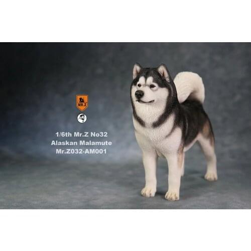 In Stock Collectible 1/6 Scale Mr.Z No.032 Alaskan Malamute Dog Animal Action Figure Model Toy for 12 inches Action Figure