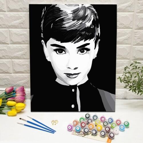 Hot Sell Figure Oil Painting by Number Hand Painted Wall Art Picture For Living Room Decoration Wall Art 40x50cm With Frame