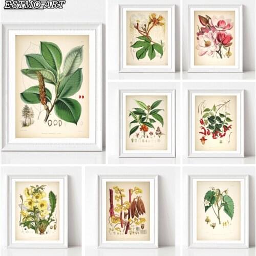 Canvas Painting Wall Art HD Abstract Drawing Flower Growth Anatomy Diagram Poster and Prints Nordic Modern Decorative Paintings