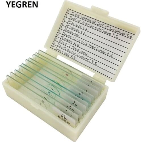 10 pieces Different Prepared Microscope Slides Biological Specimen for Students Children Basic Biological Science Education