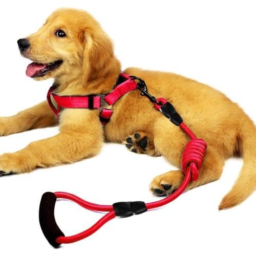 Pet Harness Nylon Pet Dog Leash Harness Lead Set For Small Large Dogs Pet Supplies Dog Harnesses and Leashes for Pet 10 Colors