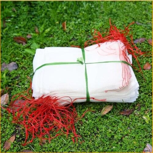 100pcs Nylon mesh bag seed bag seed soaking bag dragon fruit bag grape fruit bagging fruit tree insect control bird net bag