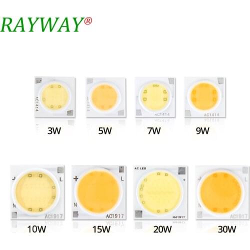 RAYWA LED COB Chip 30W 25W 18W 15W 12W 9W 7W 5W 3W AC 220V Smart IC Light High Lumen Chip For Bulb DIY LED Spotlight Light Bead
