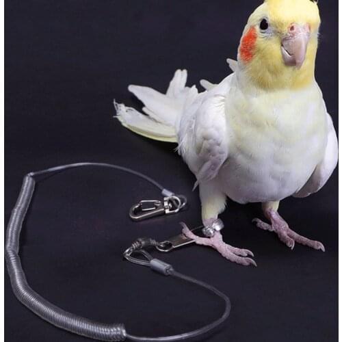 Alloy Leg Ring Flexible Bird Chain Belt Anti Bite Plastic Wire Rope Parrot Bird Outdoor Flight Training Rope Macaw Starling