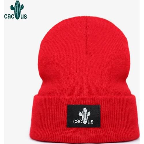 Winter Hat Beanie Knitted Embroidery Catus Skullies Beanie Outdoor Warm Woolen Hat