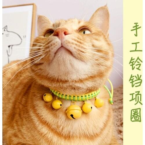 Одежда и обувь для собак WILD FRUIT China At AliExpress