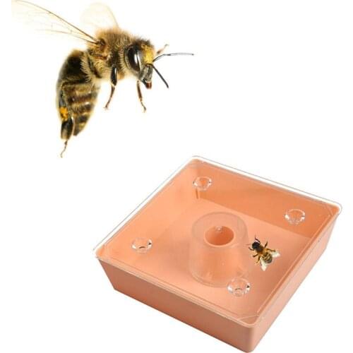 Bee Feeder Environmentally European Square Feeder Bee Water Feeder Beekeeping Tools for Apiary Easy To Use And Clean