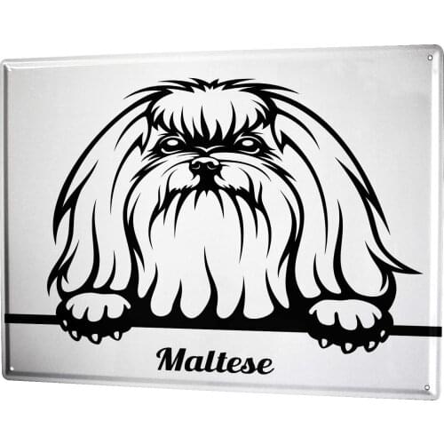 SINCE 2004 Metal Plate Dogs Maltese Drawing