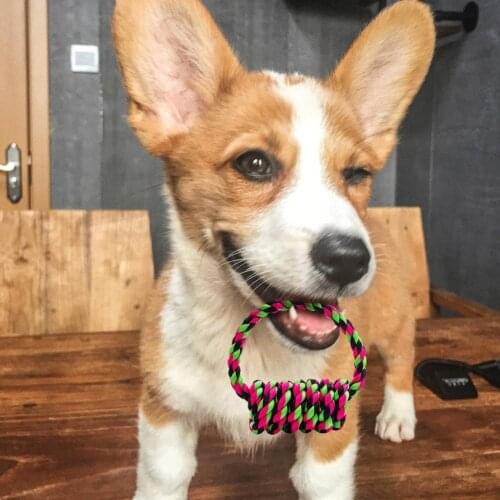 Dog Rope Toys Teeth Cleaning Vibrant Color Cotton Rope Dog Rope Knot Chew Toys for Home