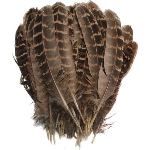 50pcs Wholesale Real Plume DIY Small Pheasant Feathers Crafts Natural Colored Feathers Wedding Party Home Decoration 10-15cm