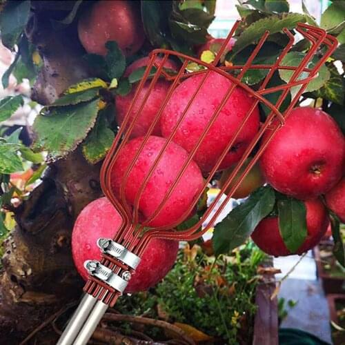 Adjustable Fruit Picker Outdoor Tools Multitool Easy to Carry Stainless Steel Material