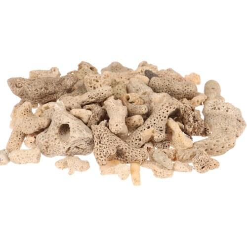 500g Aquarium Substrate Coral Ornaments Natural White Reef Flower Decorations About For Aquarium Fish Tank
