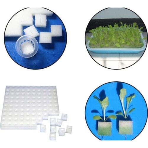 New Soilless Hydroponic Vegetables Nursery Pots Nursery Sponge Flower Seed Cultivation Soilless Cultivation System Seed Trays