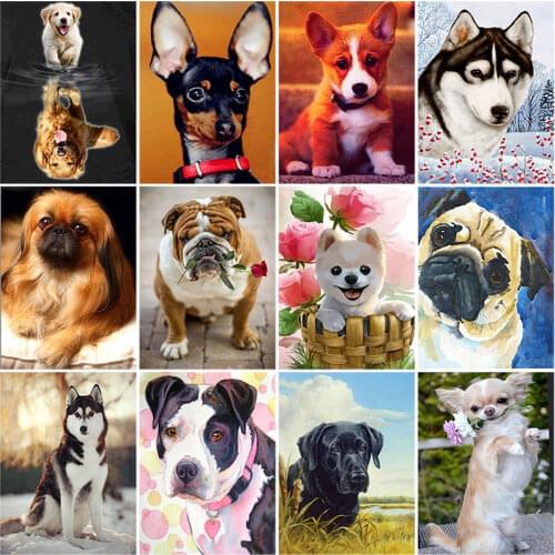 DIY 5D Diamond Painting Dog Animal Round Full Drill Nouveaute Mosaic Diamond Embroidery Cross Stitch Rhinestones Home Decor Gift