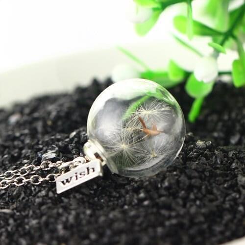 2019 Fashion Dried Flower Dandelion Pendant Necklace for Women Silver Color Glass Vial Dried Flower Floating Necklaces Jewelry