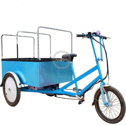 T01B Cargo Bike Pedal and Electric Food Cart 3 Wheels Electric Scooter Tricycle Trike Adult Trailer Track