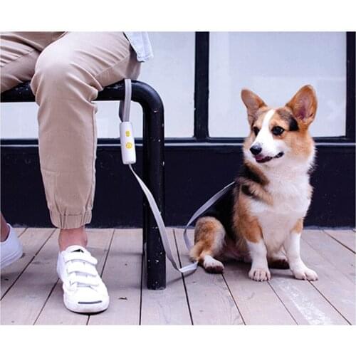 Pet Supplies New Locker Ring Anti-lost Dog Leashes Adjustable Hand Holding Rope Small and Medium-sized Dogs Elastic Dog Chain